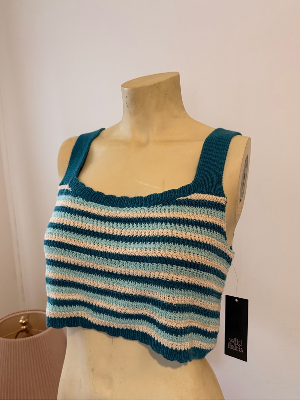 wild fable Striped Knit Cropped Tank - Teal & White